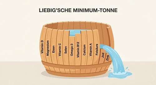 Die Liebig'sche Minimum-Tonne - die kürzeste Daube bestimmt, wie viel Wasser die Tonne halten kann.